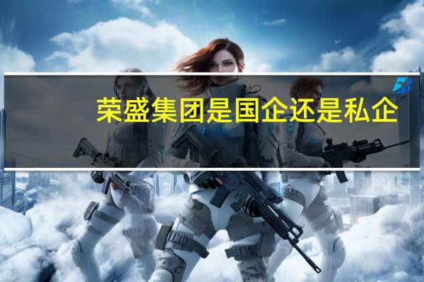 荣盛集团是国企还是私企