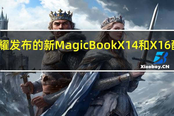 荣耀发布的新MagicBook X 14和X16配置如何，首发价分别是多少