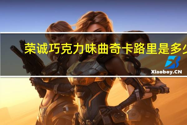 荣诚 巧克力味曲奇卡路里是多少