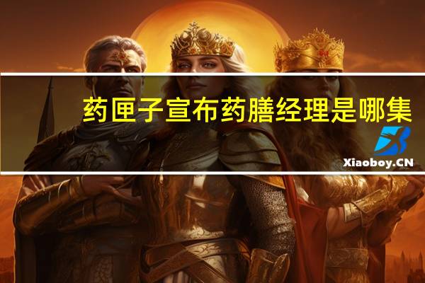 药匣子宣布药膳经理是哪集