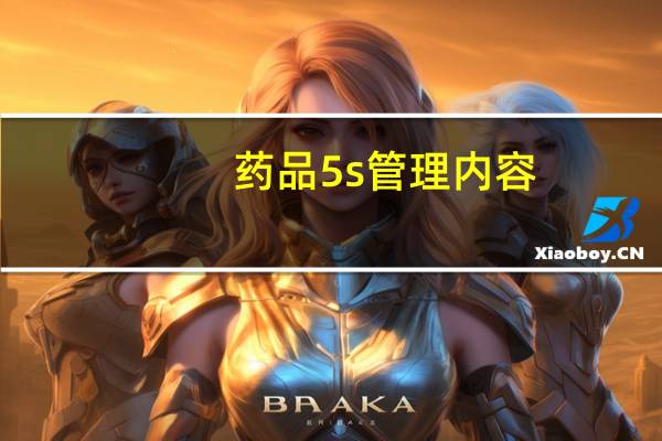 药品5s管理内容（5s管理内容）