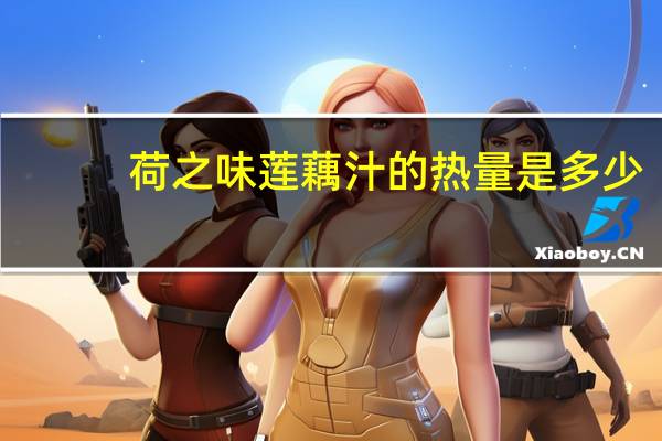 荷之味 莲藕汁的热量是多少