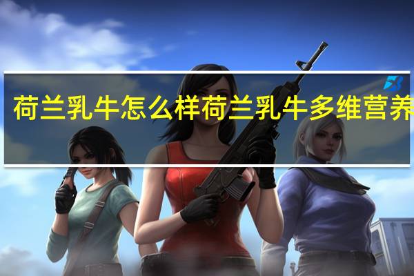 荷兰乳牛怎么样 荷兰乳牛多维营养奶粉