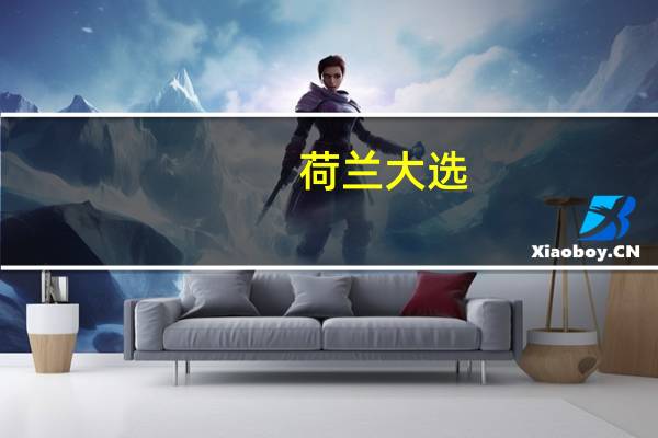 荷兰大选：极右翼受欢迎，意外结果或将频现