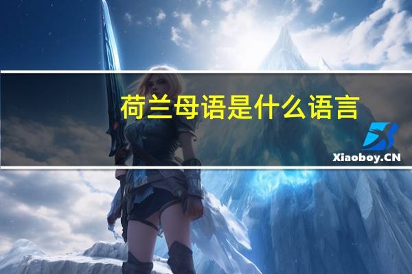 荷兰母语是什么语言（荷兰说哪国语言）