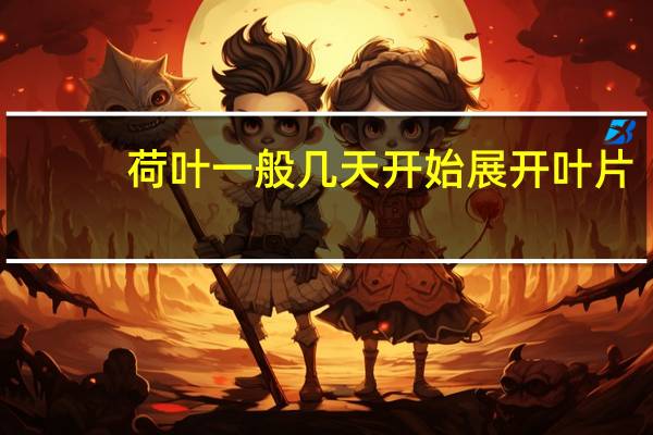 荷叶一般几天开始展开叶片（荷叶一点通）
