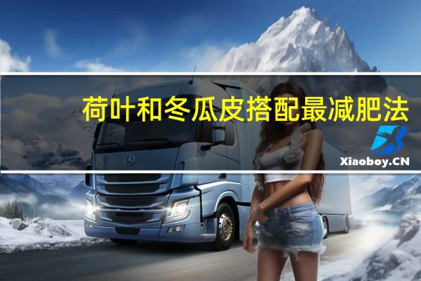 荷叶和冬瓜皮搭配最减肥法(荷叶配冬瓜皮减肥的效果)