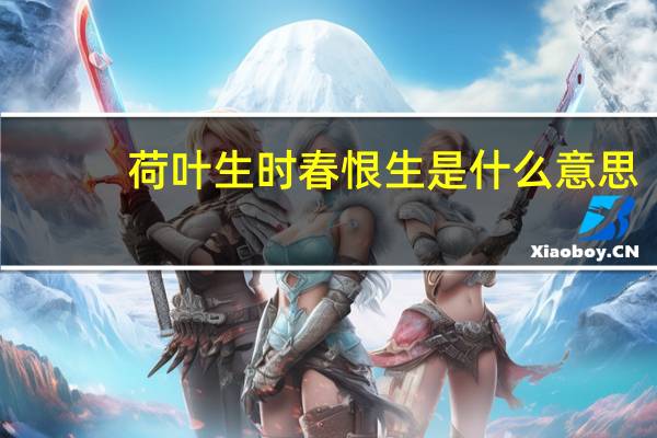 荷叶生时春恨生是什么意思