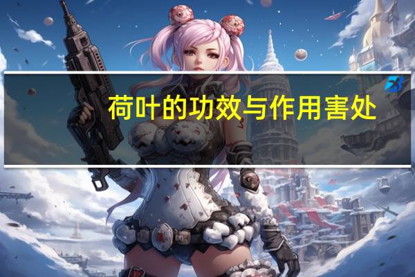 荷叶的功效与作用害处（荷叶的功效有哪些）