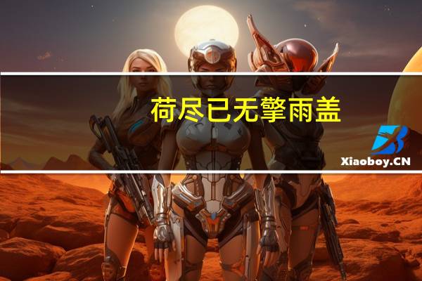 荷尽已无擎雨盖,中的,擎雨盖指的是什么意思
