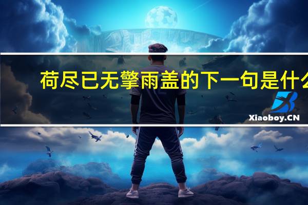 荷尽已无擎雨盖的下一句是什么