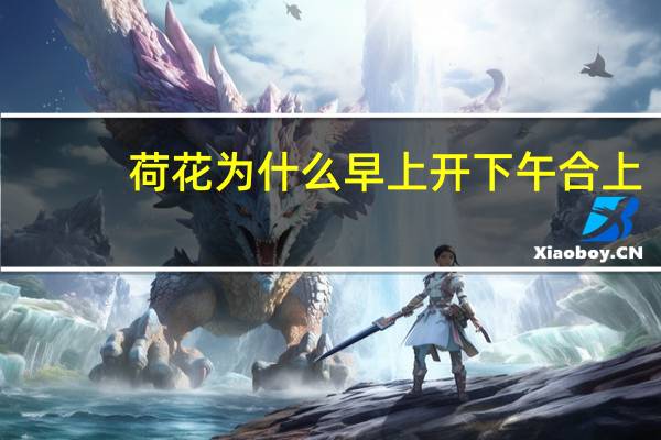 荷花为什么早上开下午合上