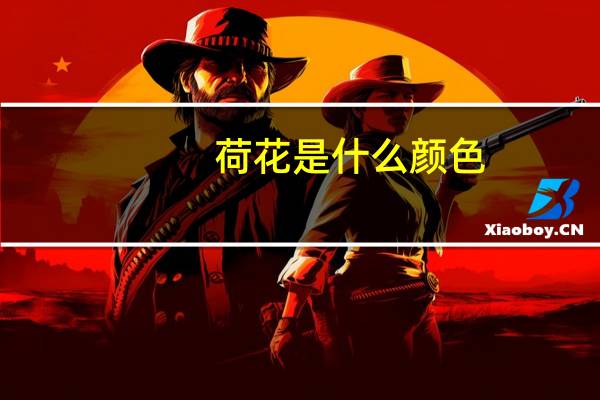 荷花是什么颜色