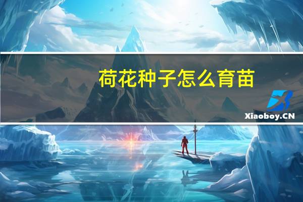 荷花种子怎么育苗