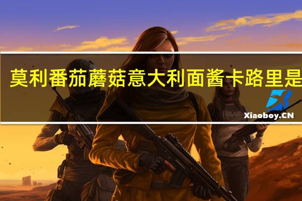 莫利 番茄蘑菇意大利面酱卡路里是多少