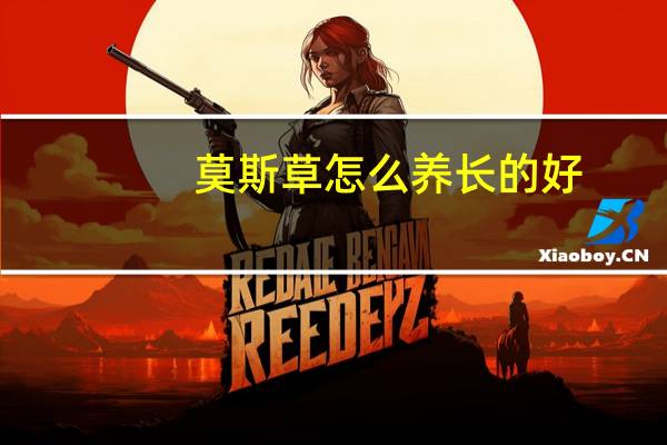莫斯草怎么养长的好