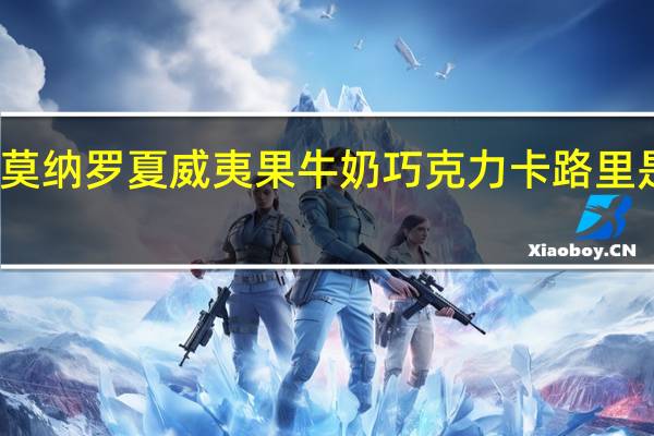 莫纳罗 夏威夷果牛奶巧克力卡路里是多少