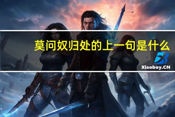 莫问奴归处的上一句是什么