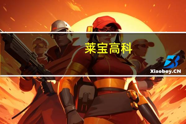 莱宝高科：公司供应华为客户的产品绝大部分以笔记本电脑用触摸屏为主