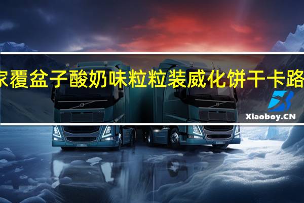 莱家 覆盆子酸奶味粒粒装威化饼干卡路里是多少