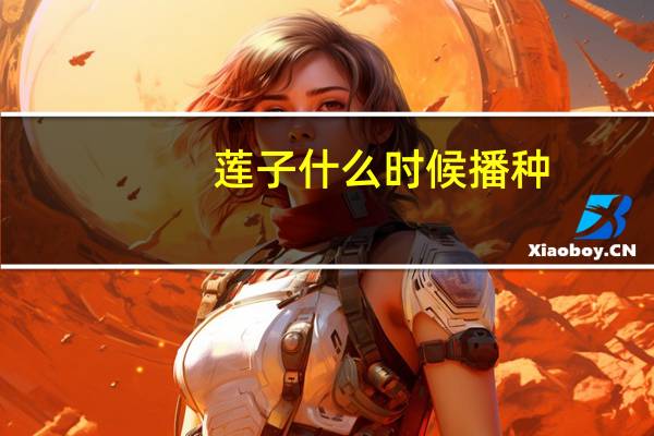 莲子什么时候播种