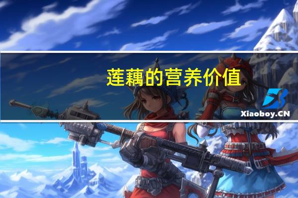 莲藕的营养价值：健脾开胃、益血补髓