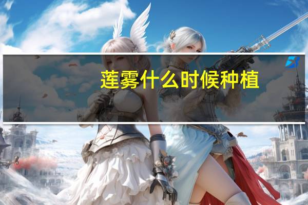 莲雾什么时候种植