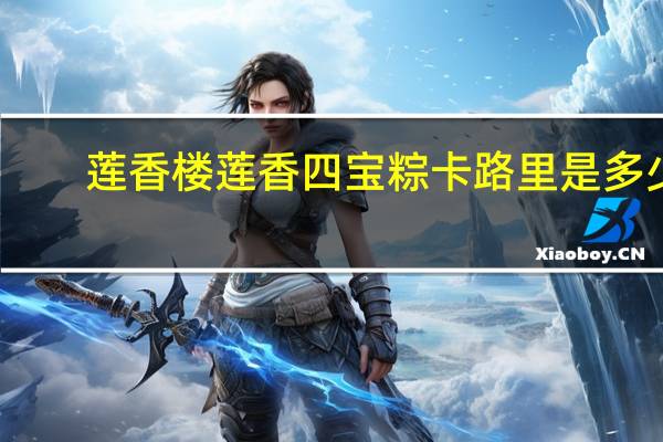 莲香楼 莲香四宝粽卡路里是多少