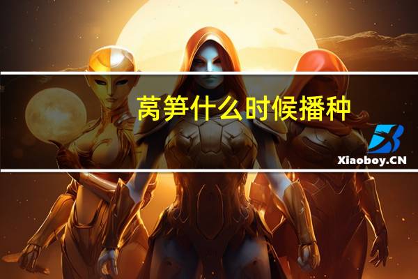 莴笋什么时候播种