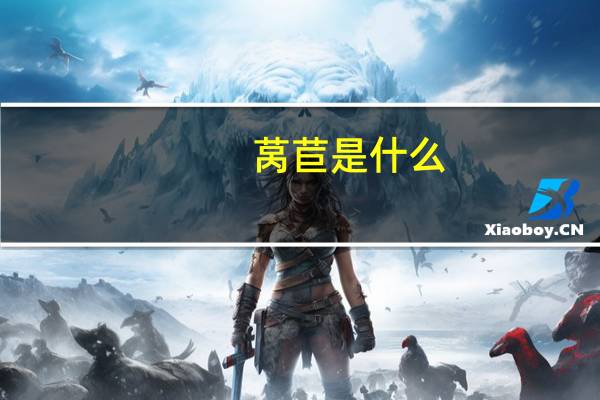 莴苣是什么：不同的地方对莴苣的称呼不一样