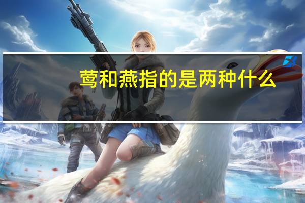莺和燕指的是两种什么