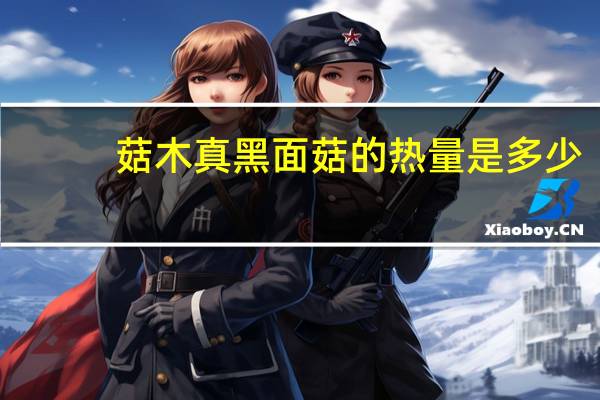 菇木真 黑面菇的热量是多少