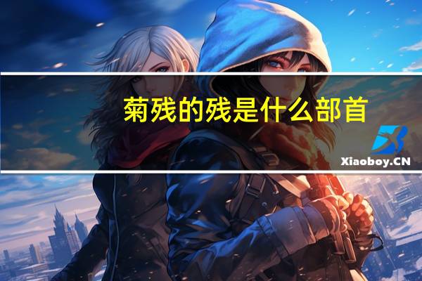 菊残的残是什么部首
