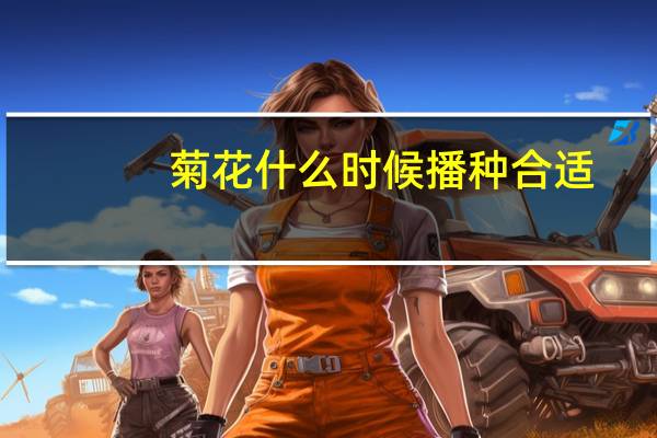 菊花什么时候播种合适