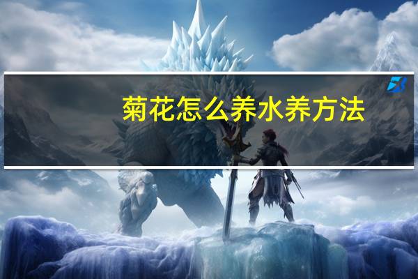 菊花怎么养水养方法