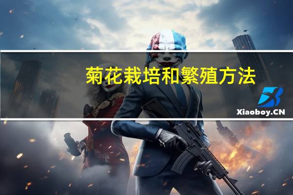 菊花栽培和繁殖方法