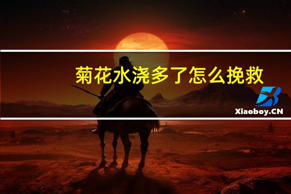 菊花水浇多了怎么挽救