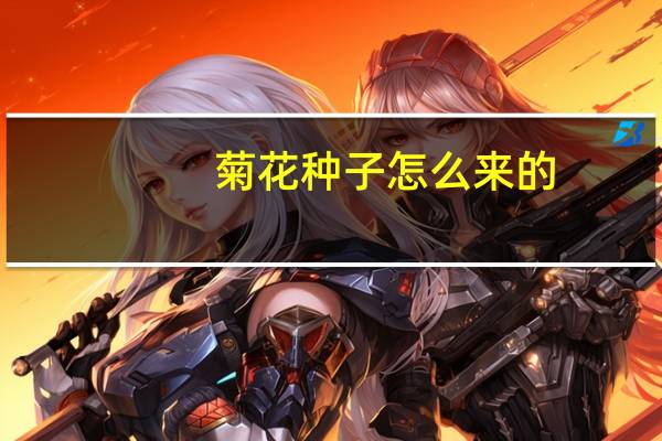 菊花种子怎么来的