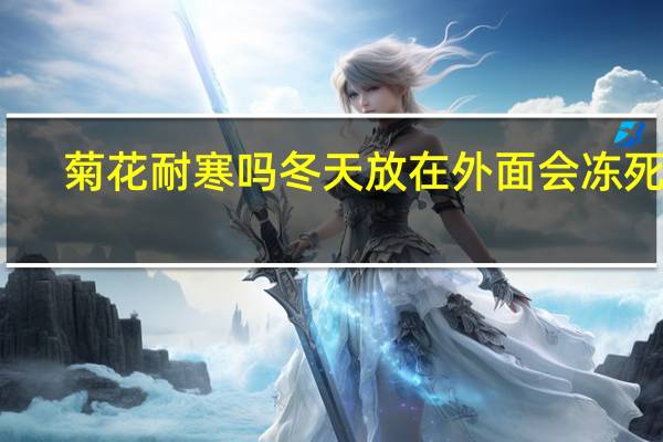菊花耐寒吗冬天放在外面会冻死吗