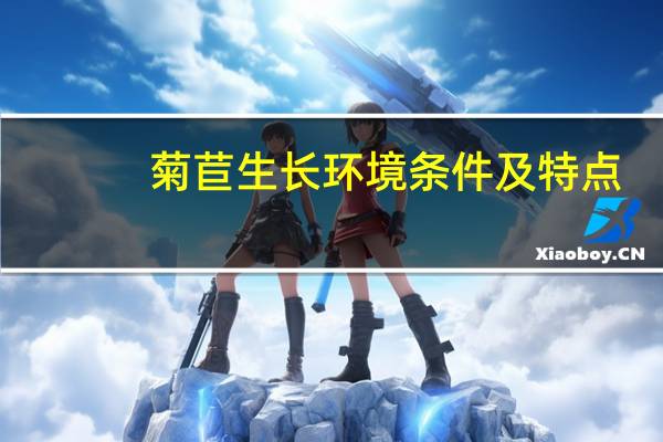 菊苣生长环境条件及特点