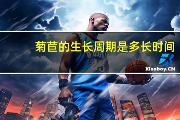 菊苣的生长周期是多长时间