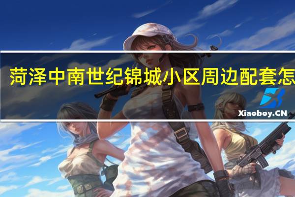 菏泽中南世纪锦城小区周边配套怎么样