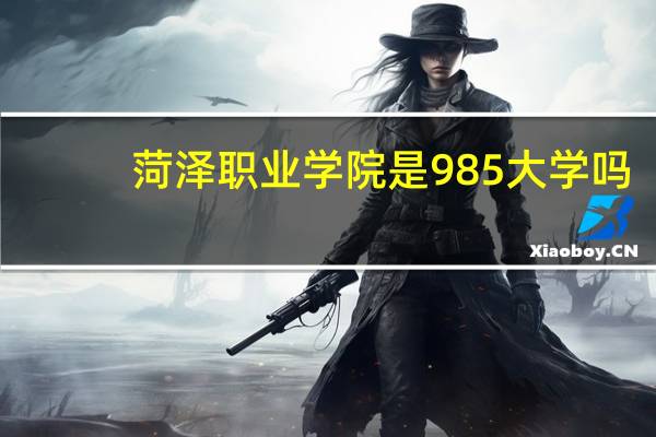 菏泽职业学院是985大学吗