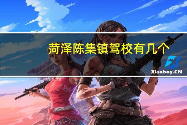 菏泽陈集镇驾校有几个