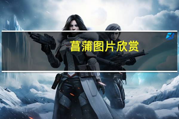 菖蒲图片欣赏（挂菖蒲图片）