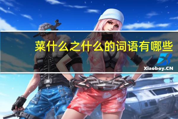菜什么之什么的词语有哪些?