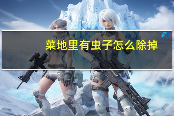 菜地里有虫子怎么除掉