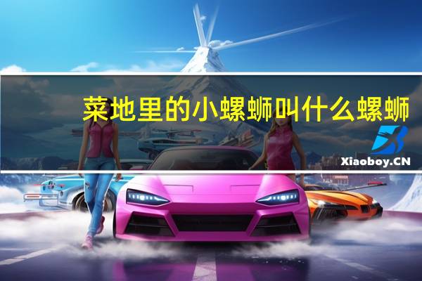 菜地里的小螺蛳叫什么螺蛳