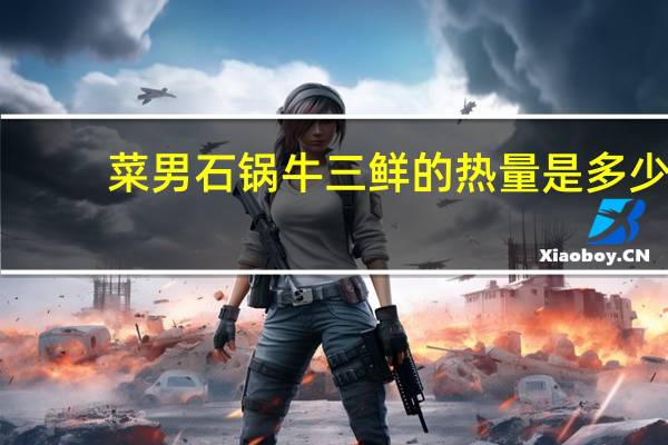菜男 石锅牛三鲜的热量是多少