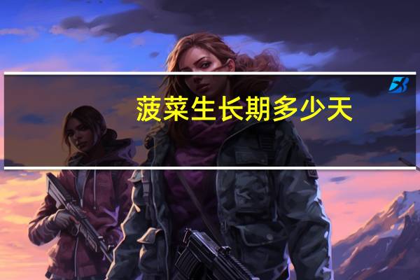 菠菜生长期多少天